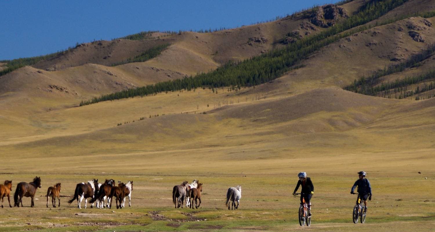 Cycling in Mongolia - Naadam Festival
