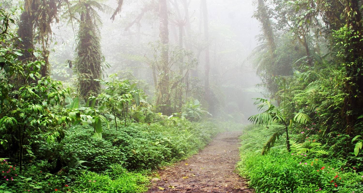 Arenal Volcano & Monteverde Cloud Forest Costa Rica, the perfect combination