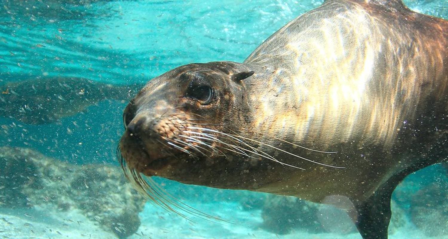 Galapagos Explorer: Southern Islands (Grand Queen Beatriz) — photo 2