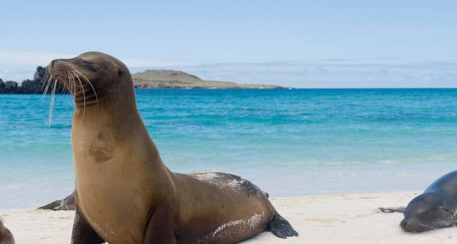 Classic Galapagos: Southern Islands (Grand Queen Beatriz) — photo 3