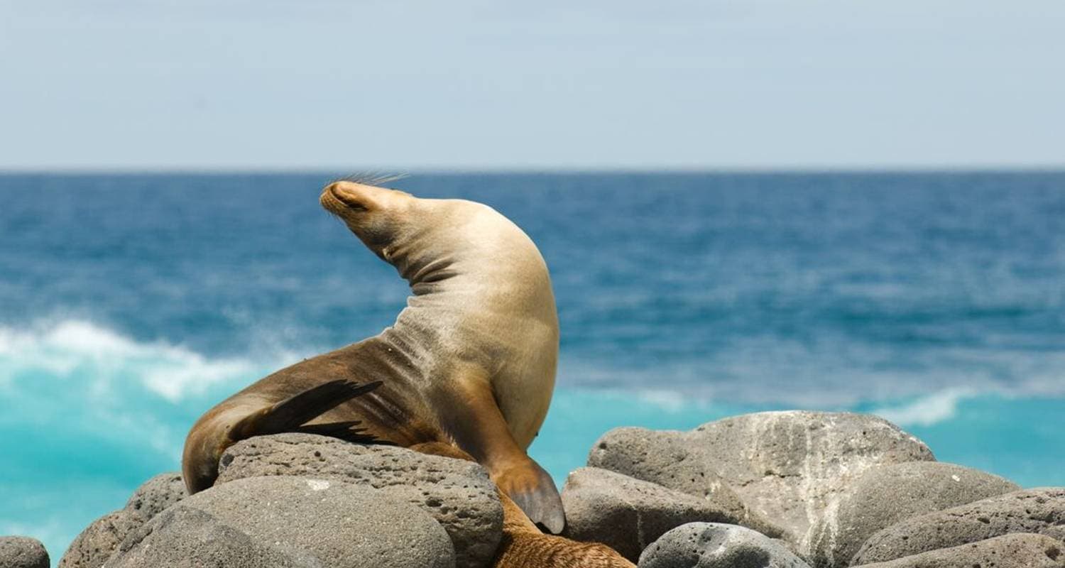 Classic Galapagos: Southern Islands (Grand Queen Beatriz)
