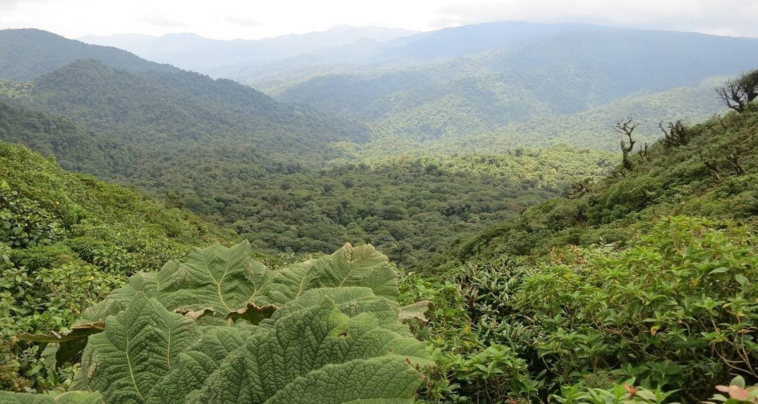Exotic Costa Rica
