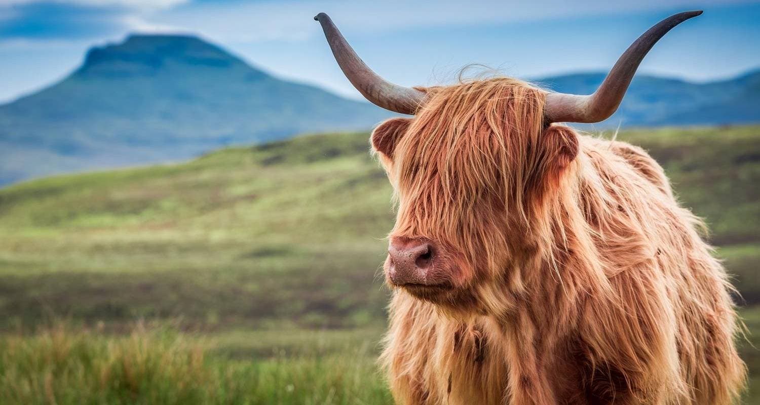 Highlights of Scotland — photo 2