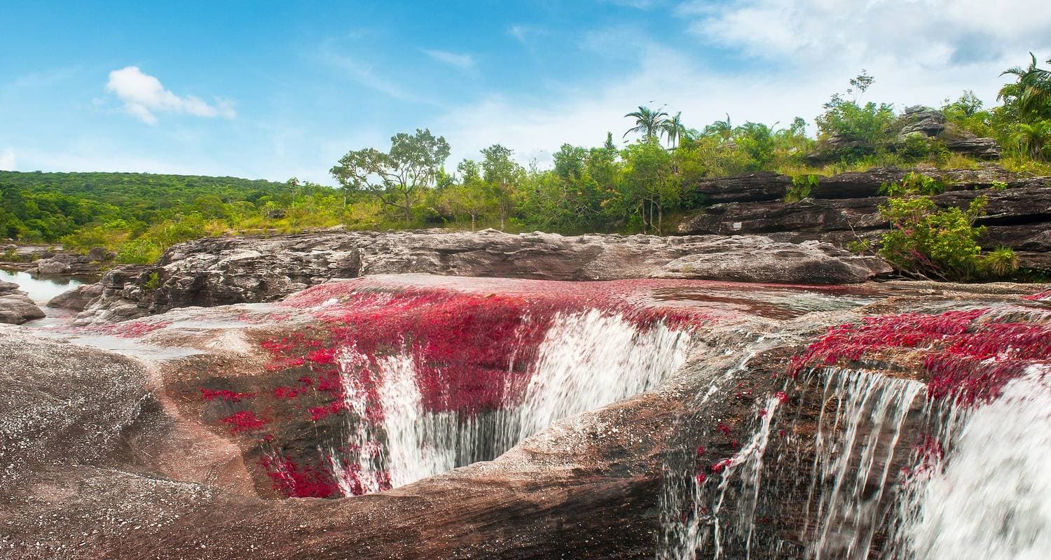 in Colombia La Macarena & The River of Seven Colors