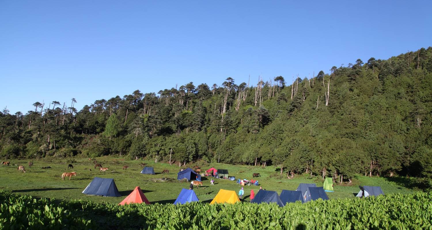 Bhutan Druk Path Trek