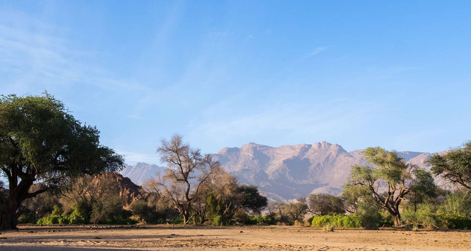 Ultimate Africa: Safari Drives & the Savannah