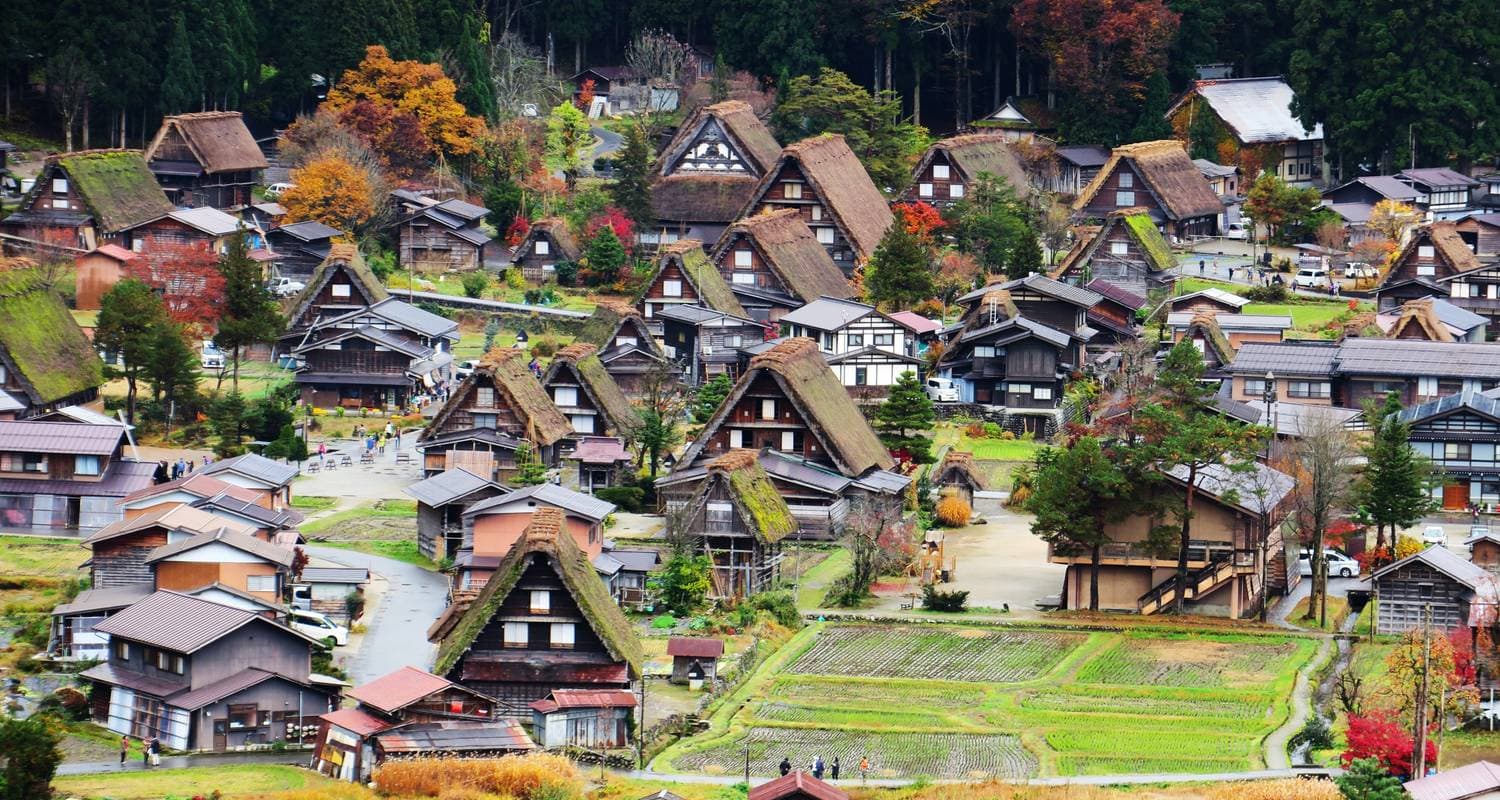 Japan Winter Wonder