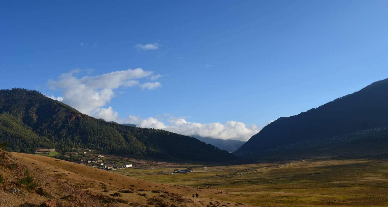 Window to Bhutan