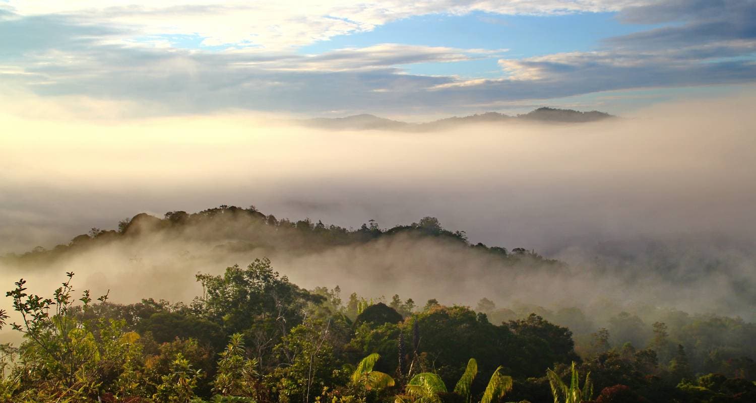Classic Borneo