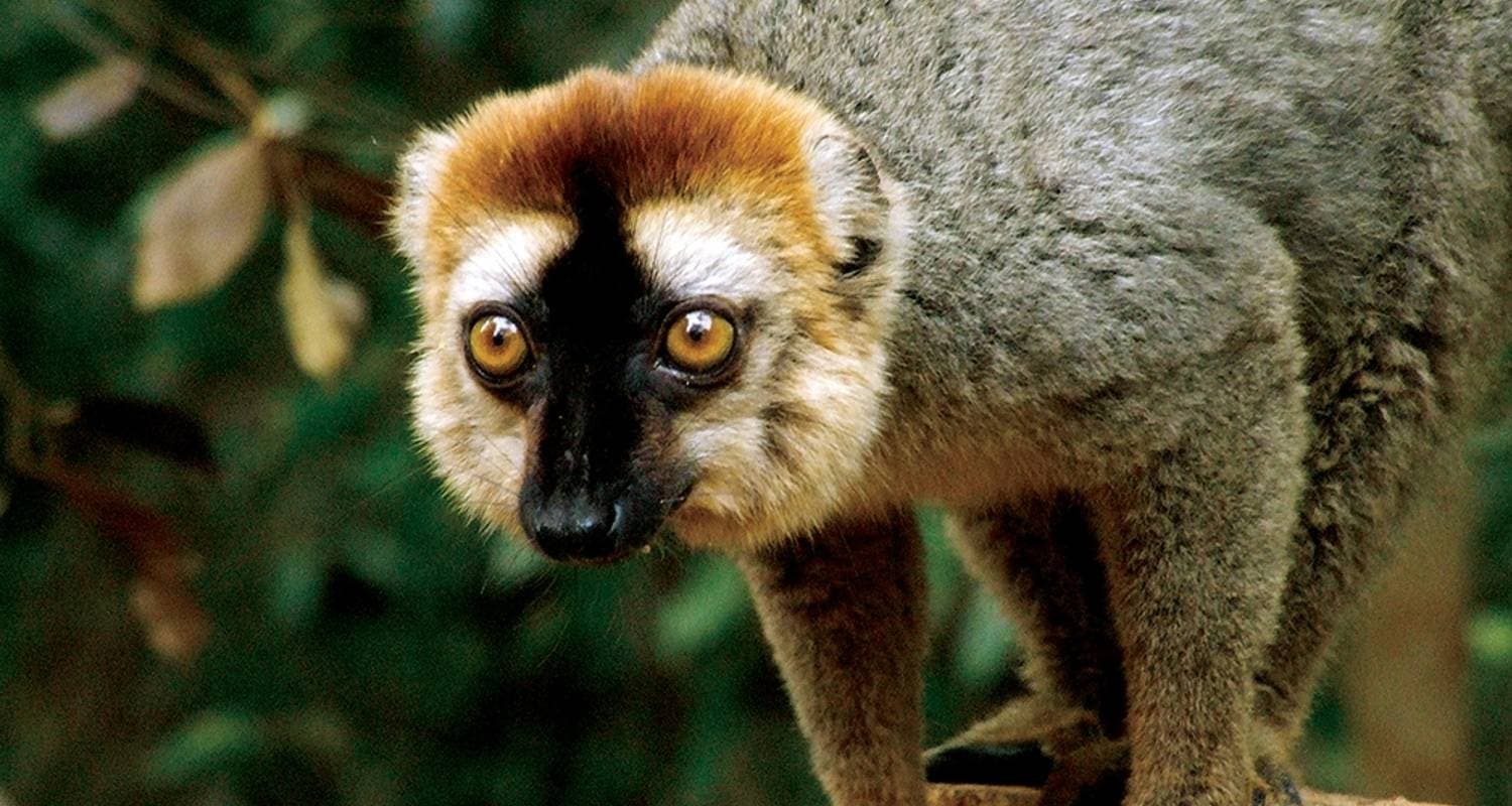 Madagascar Wilderness Trek