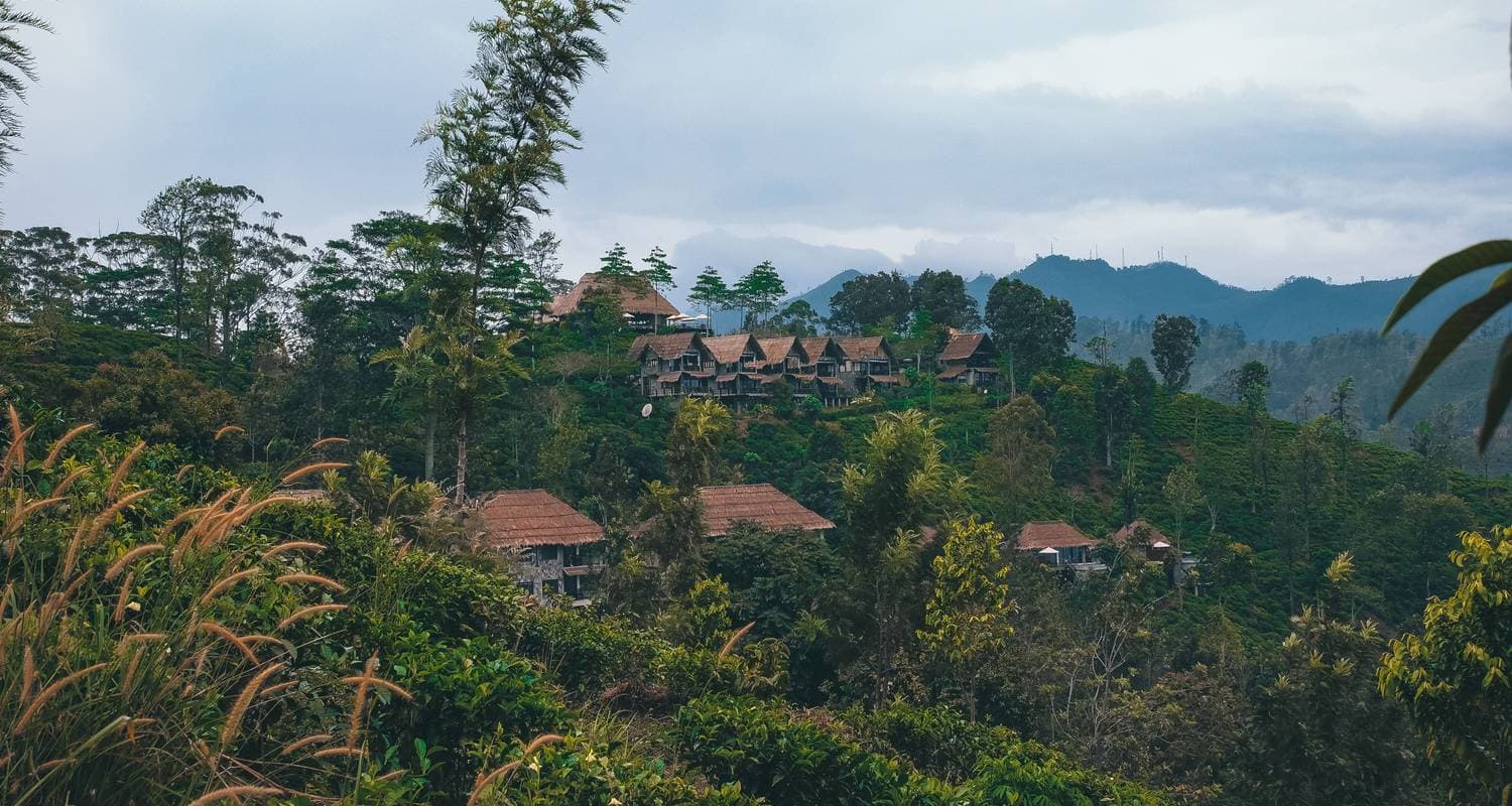 Splendour of Sri Lanka - (8 Days & 7 Nights tour in Sri Lanka)