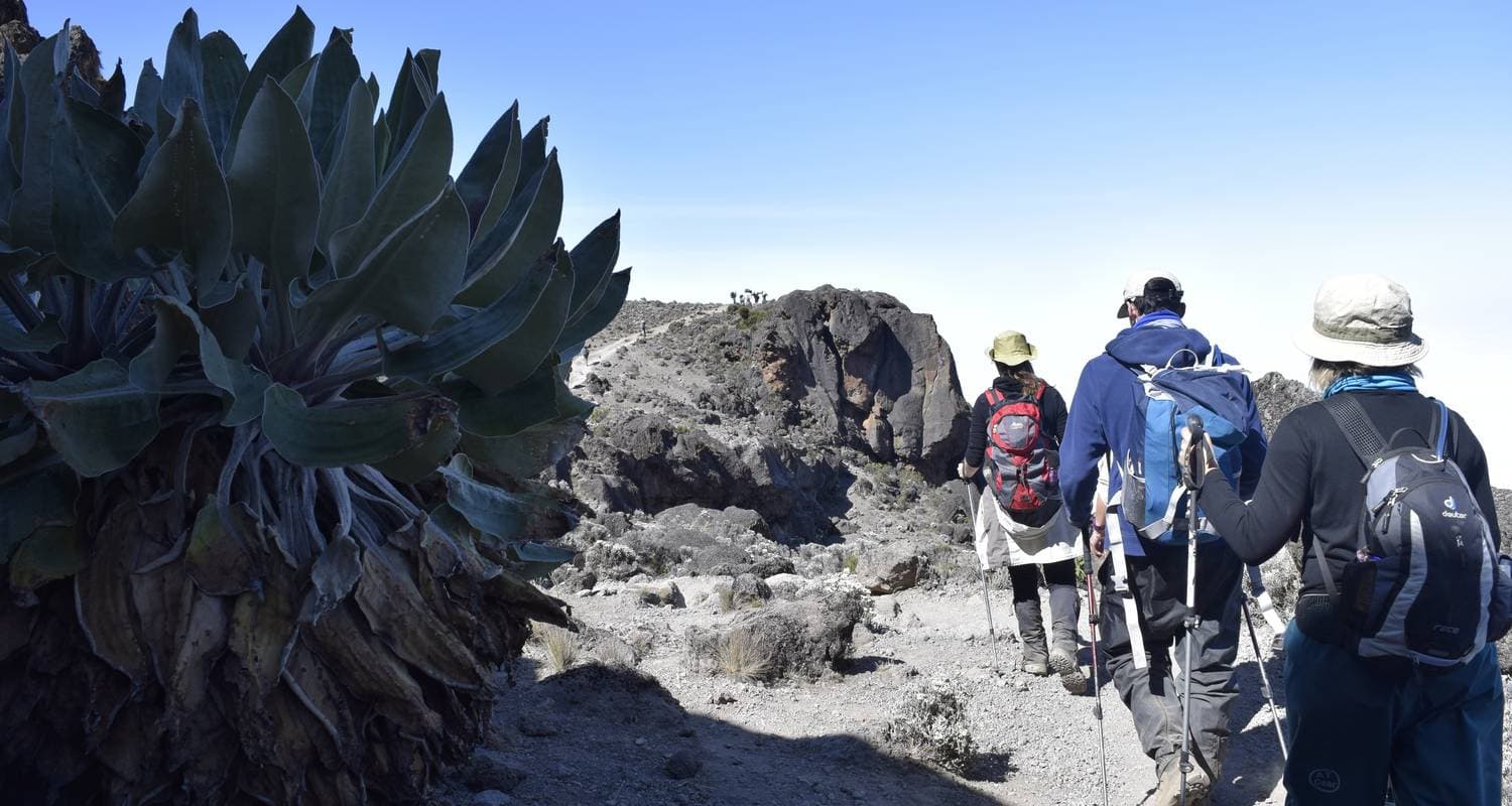Machame Route | Kilimanjaro Climbing