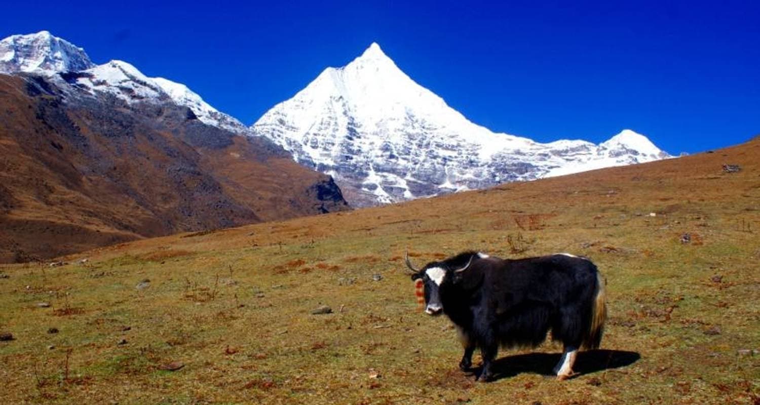 Druk path trek with culture tour
