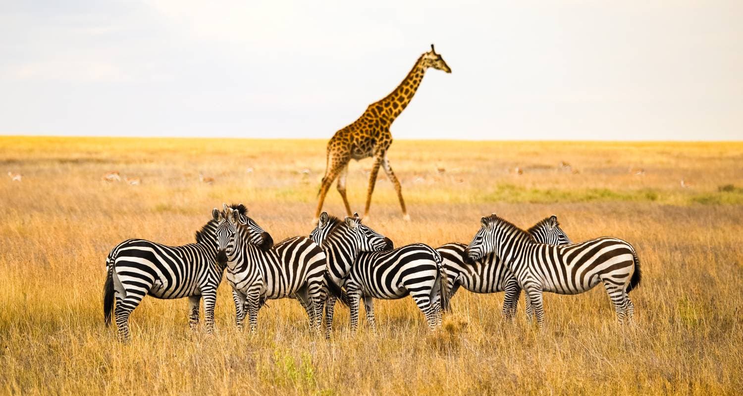 East Africa Highlights — photo 2