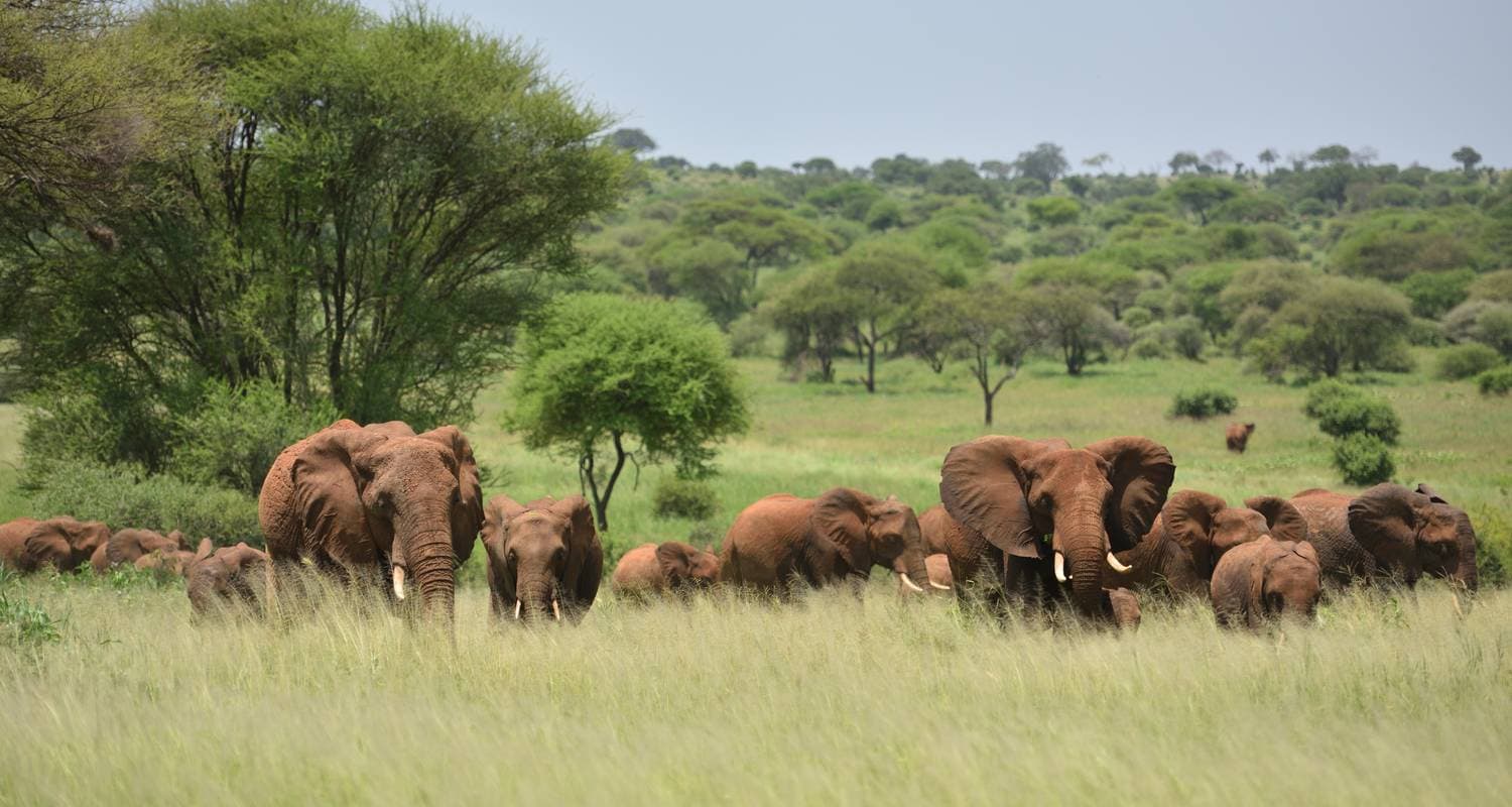East Africa Highlights — photo 3