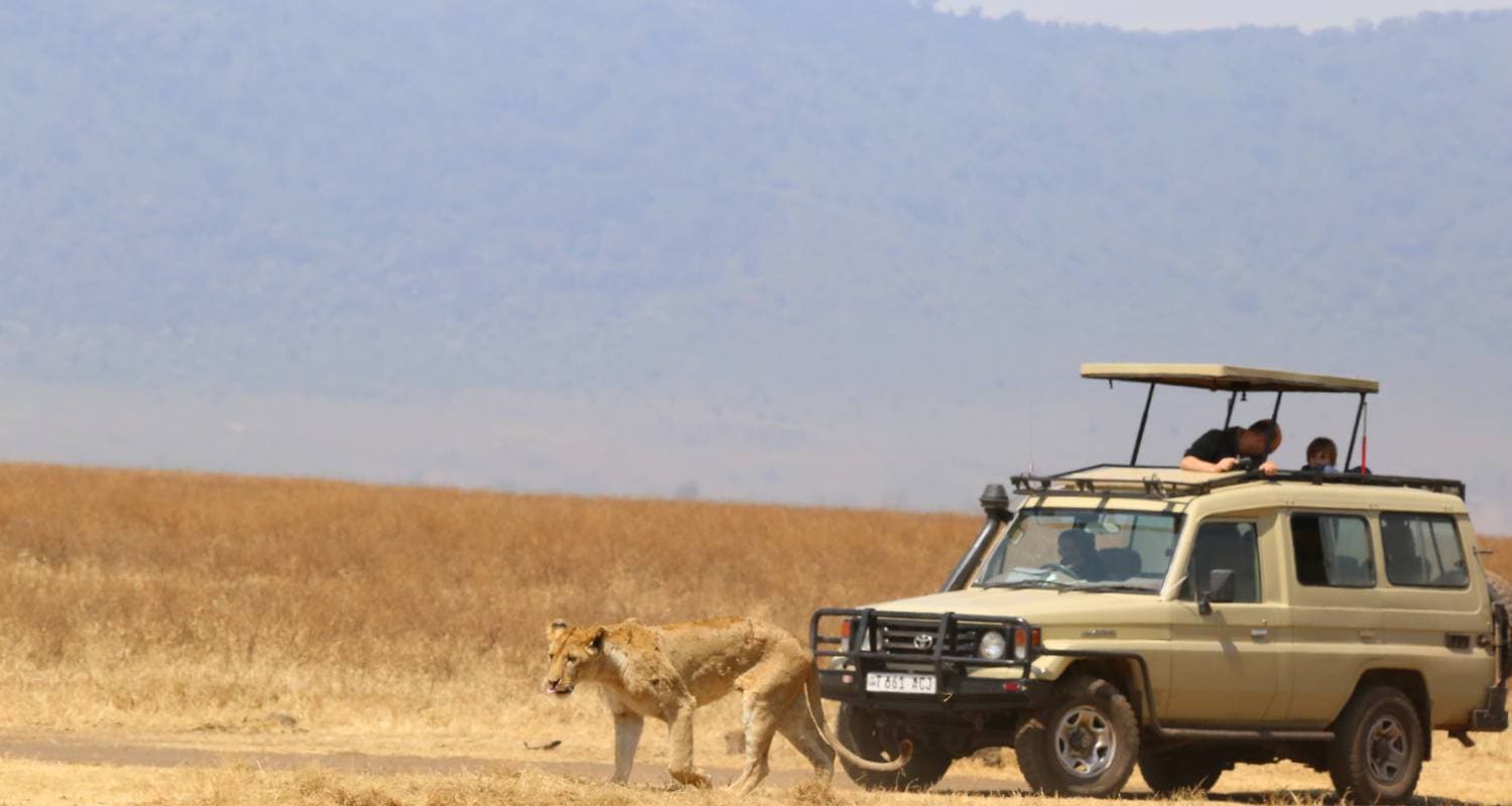 2 Nights Mikumi Wildlife safari By SGR-Train