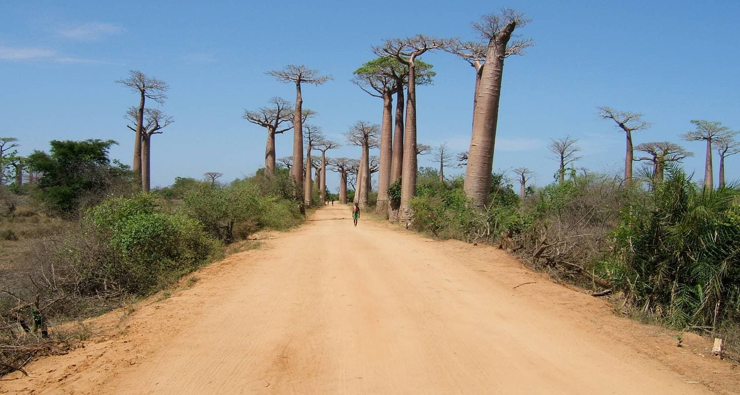 Madagascar discovery & splendour