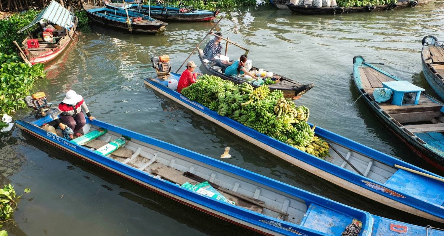 in Vietnam From Ho Chi Minh city Up to Hoi An & Hanoi