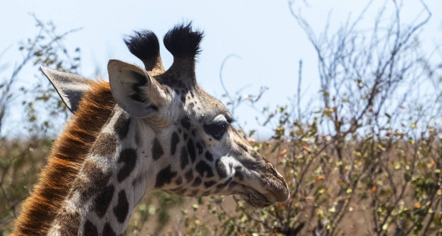 Kenya & Tanzania Adventure — photo 2