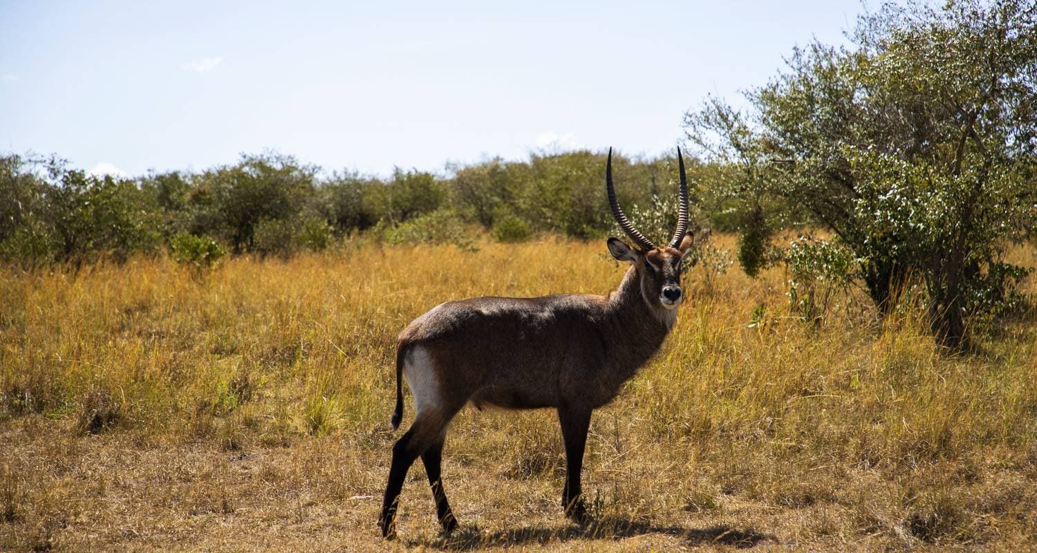Best of Kenya & Tanzania