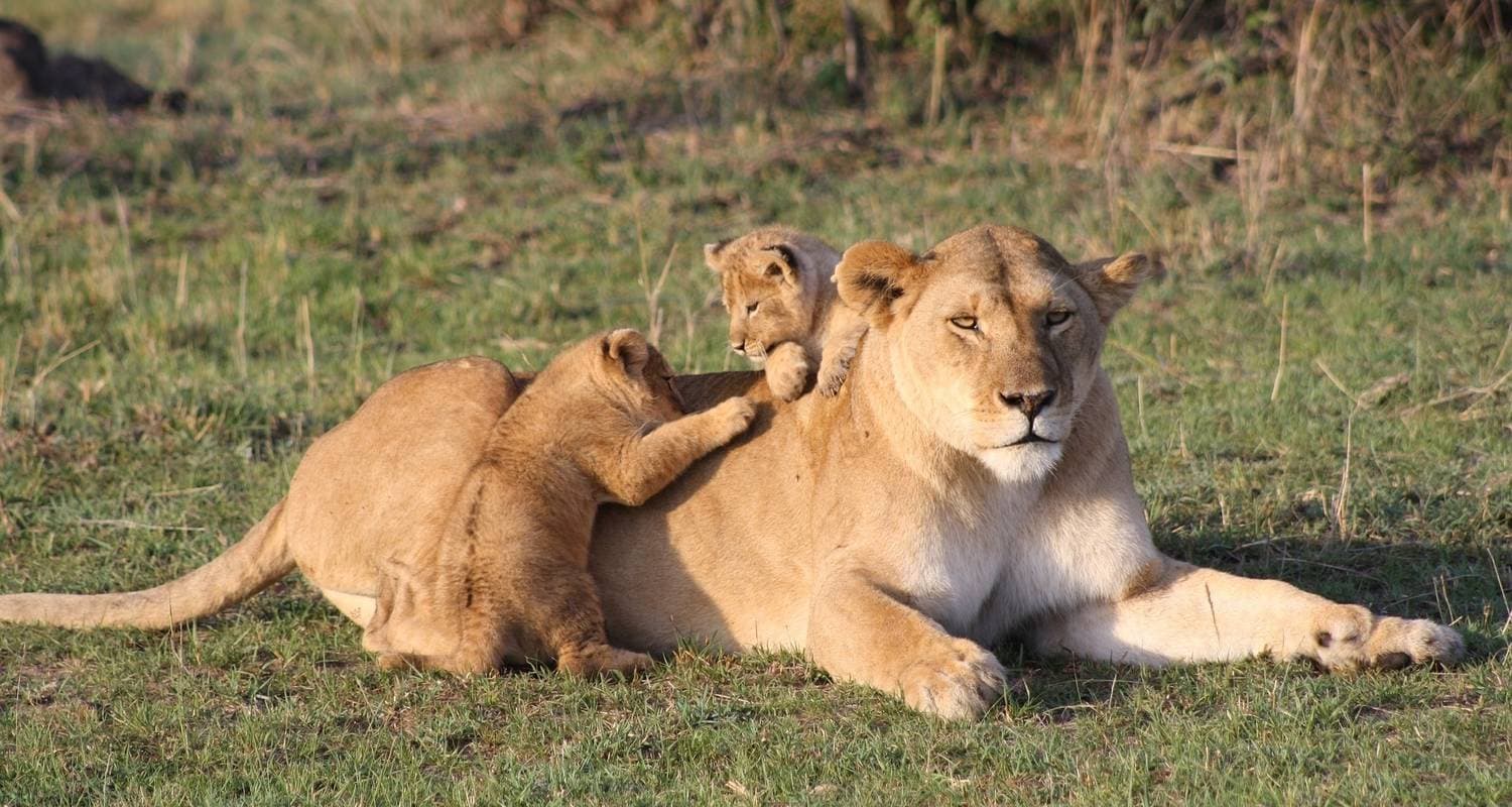 Magic of Kenya Safari Tour — photo 2
