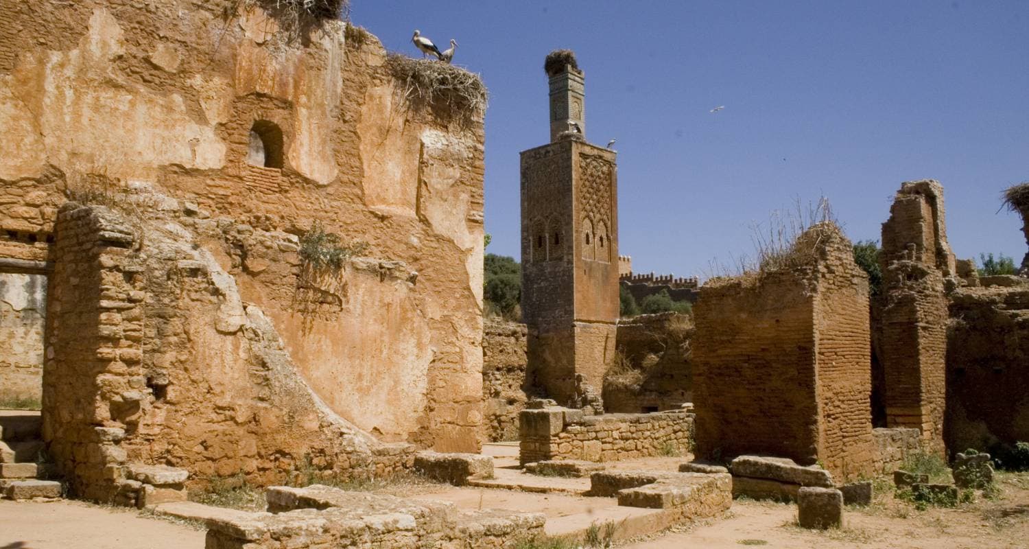 Imperial Cities & Sahara Discovery Tour from Casablanca