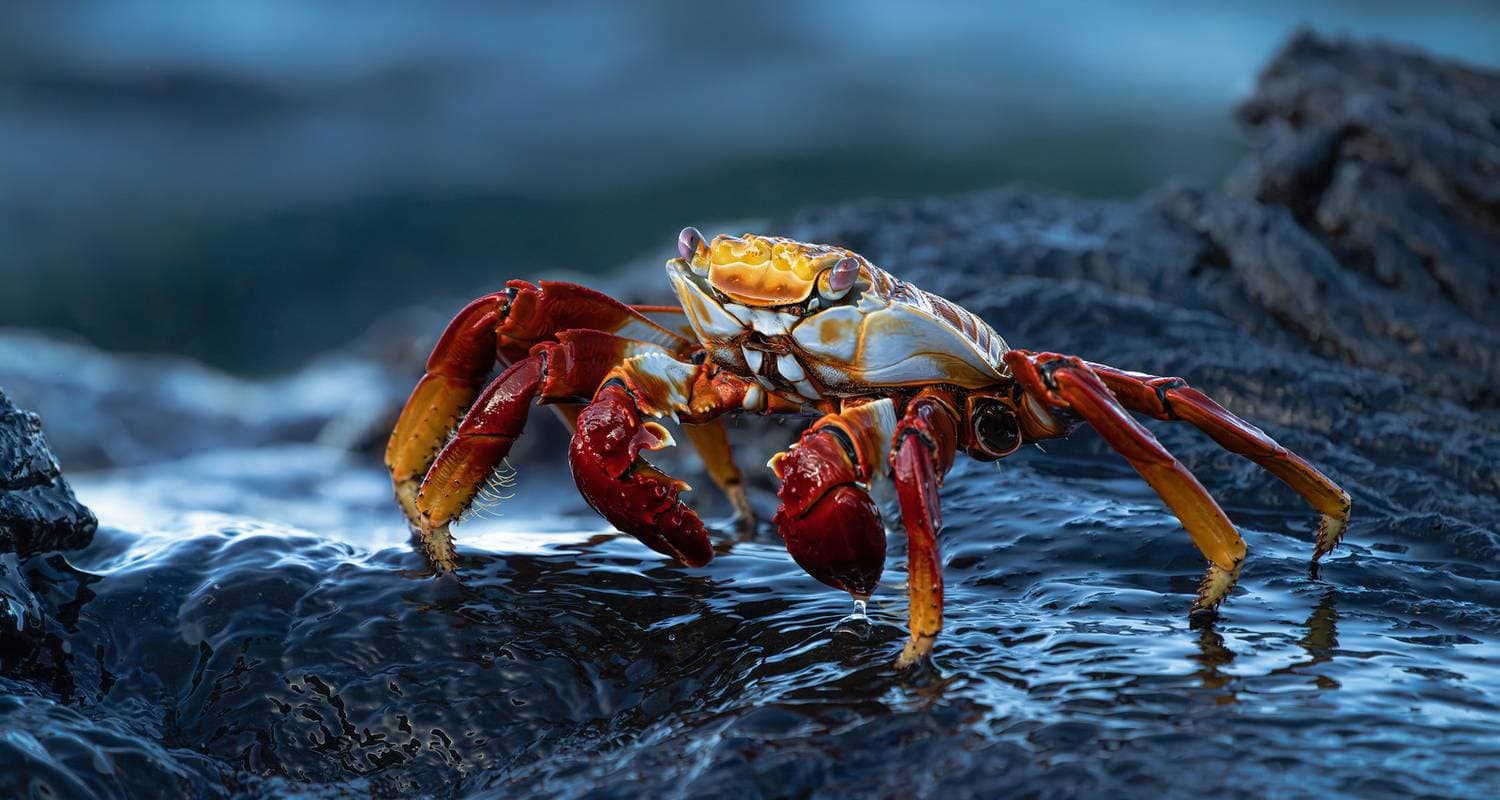 Galapagos Outdoors: 3 Unforgettable Islands in