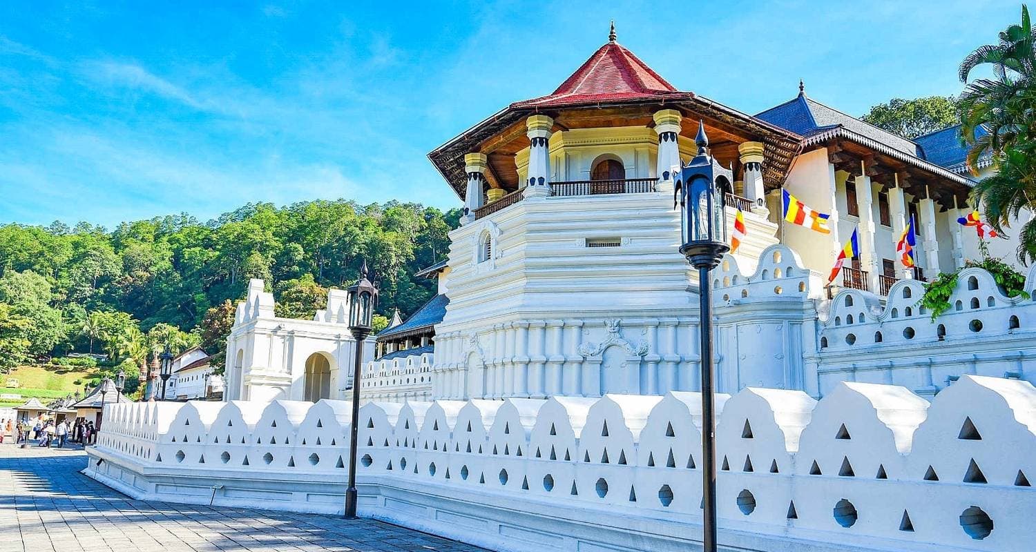 Glimpse of Sri Lanka Private Tour — photo 2