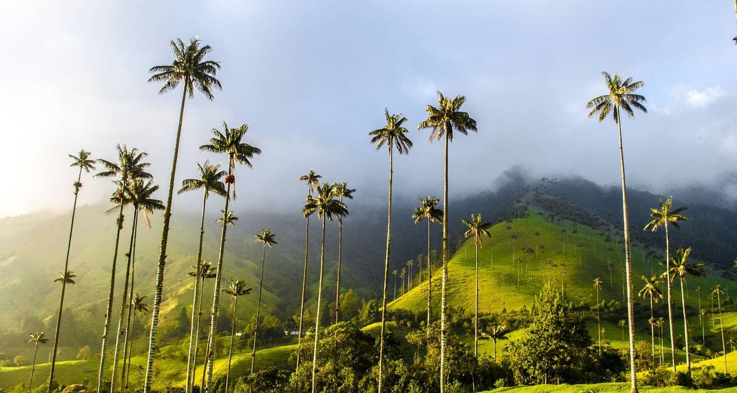 Private Service I Journey Through Colombia's Highlights: Bogotá, The Coffee Region, Medellín & Cartagena — Domestic Flights Included
