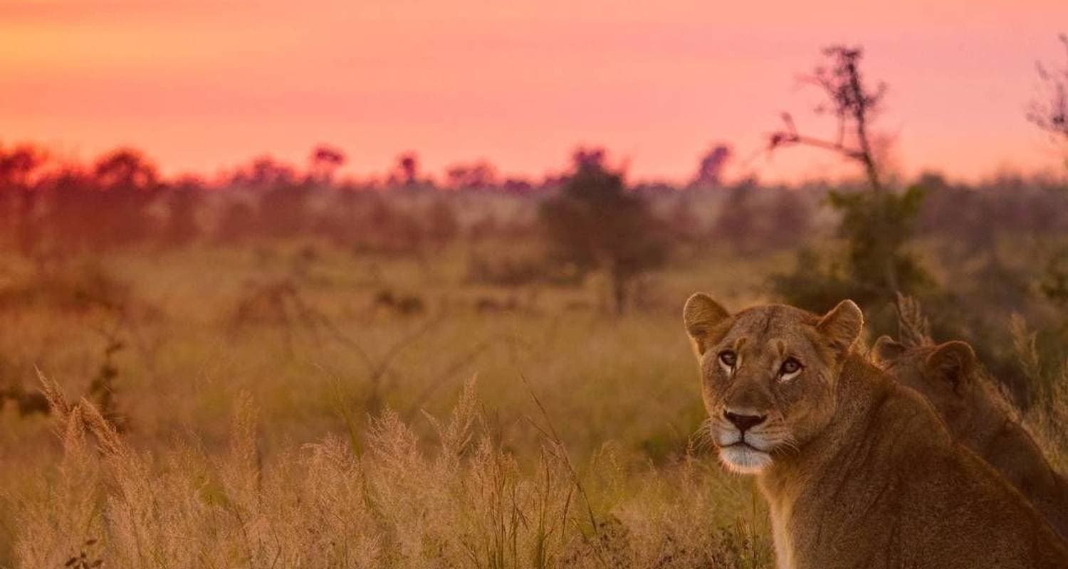 Kruger National Park Safari from Kruger Mpumalanga Int. Airport (KMI/MQP) & Panorama Route — photo 2