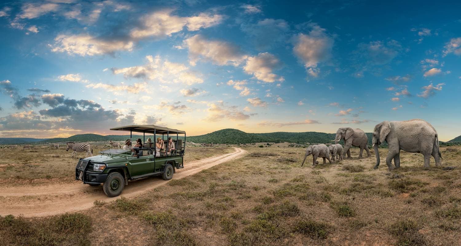 Kruger National Park Safari from Kruger Mpumalanga Int. Airport (KMI/MQP) & Panorama Route