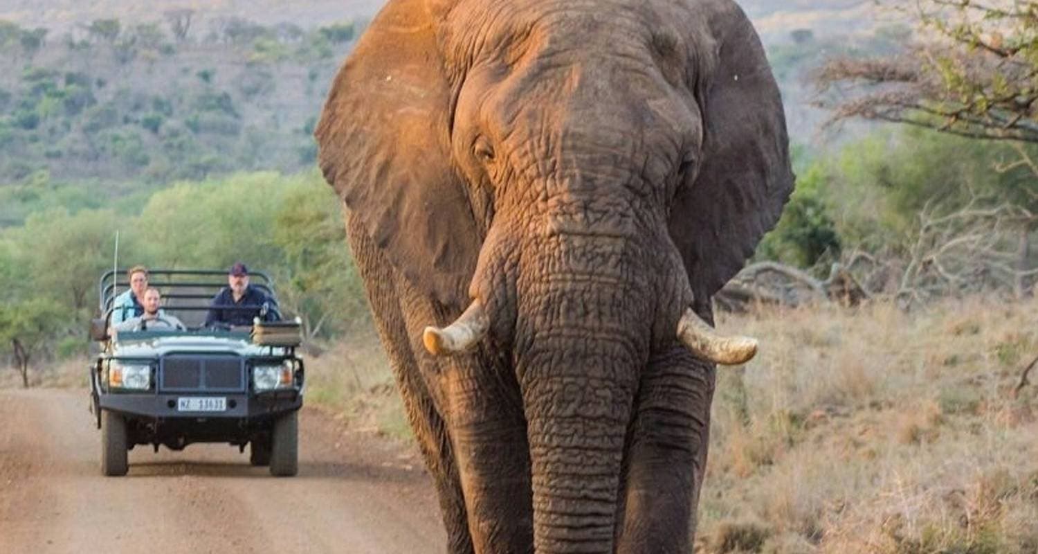 Soweto to Pretoria & Pilanesberg Big 5 Game Drive — photo 2