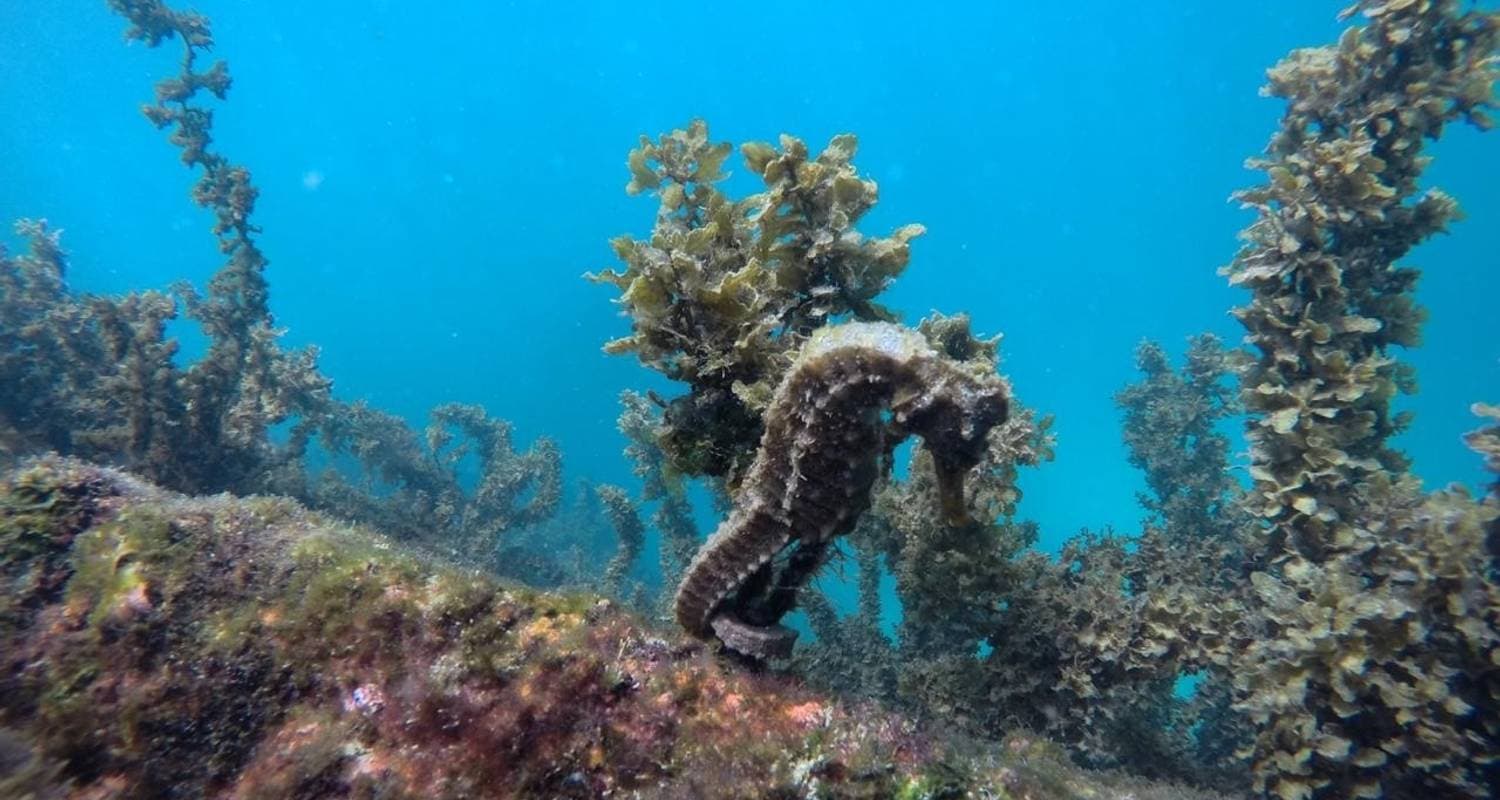 Galapagos Island Hopping Tour in Santa Cruz & Isabela