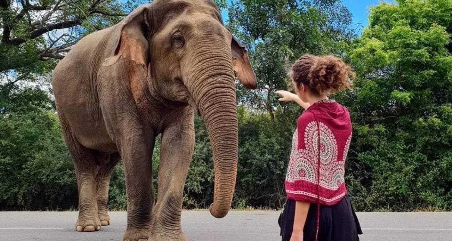 Across The Best Sites Of Sri Lanka