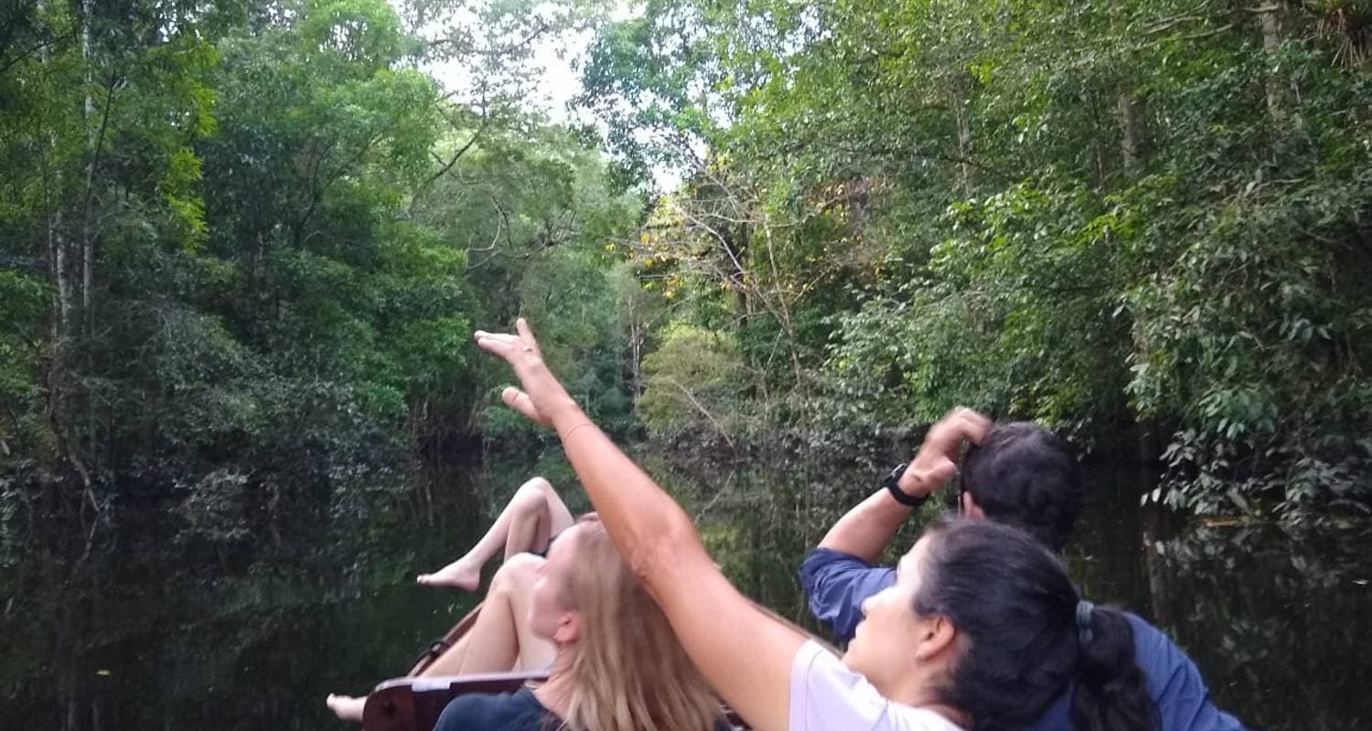 Amazon Jungle