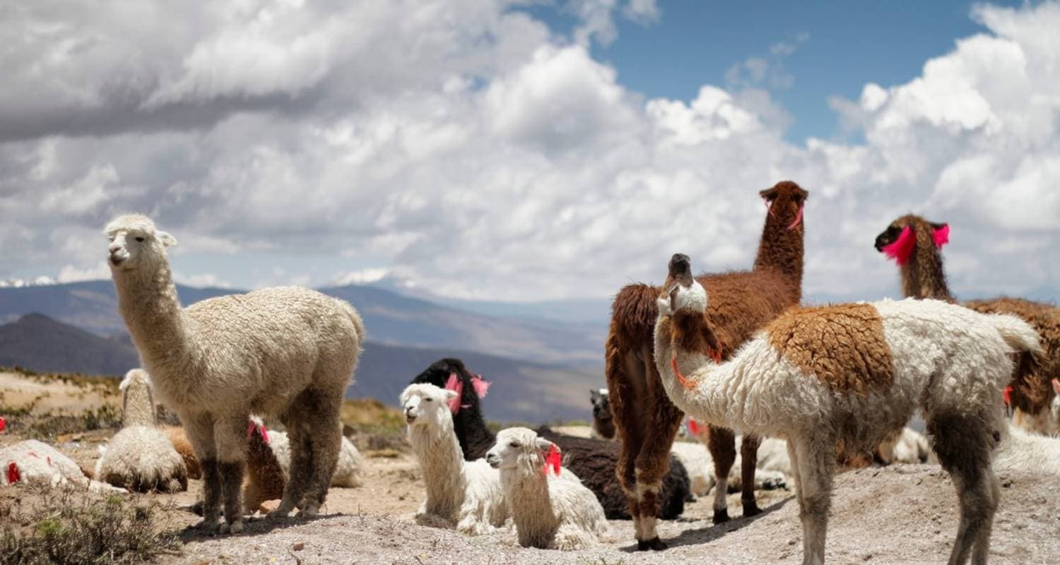 Northern of Argentina: Salta & Jujuy