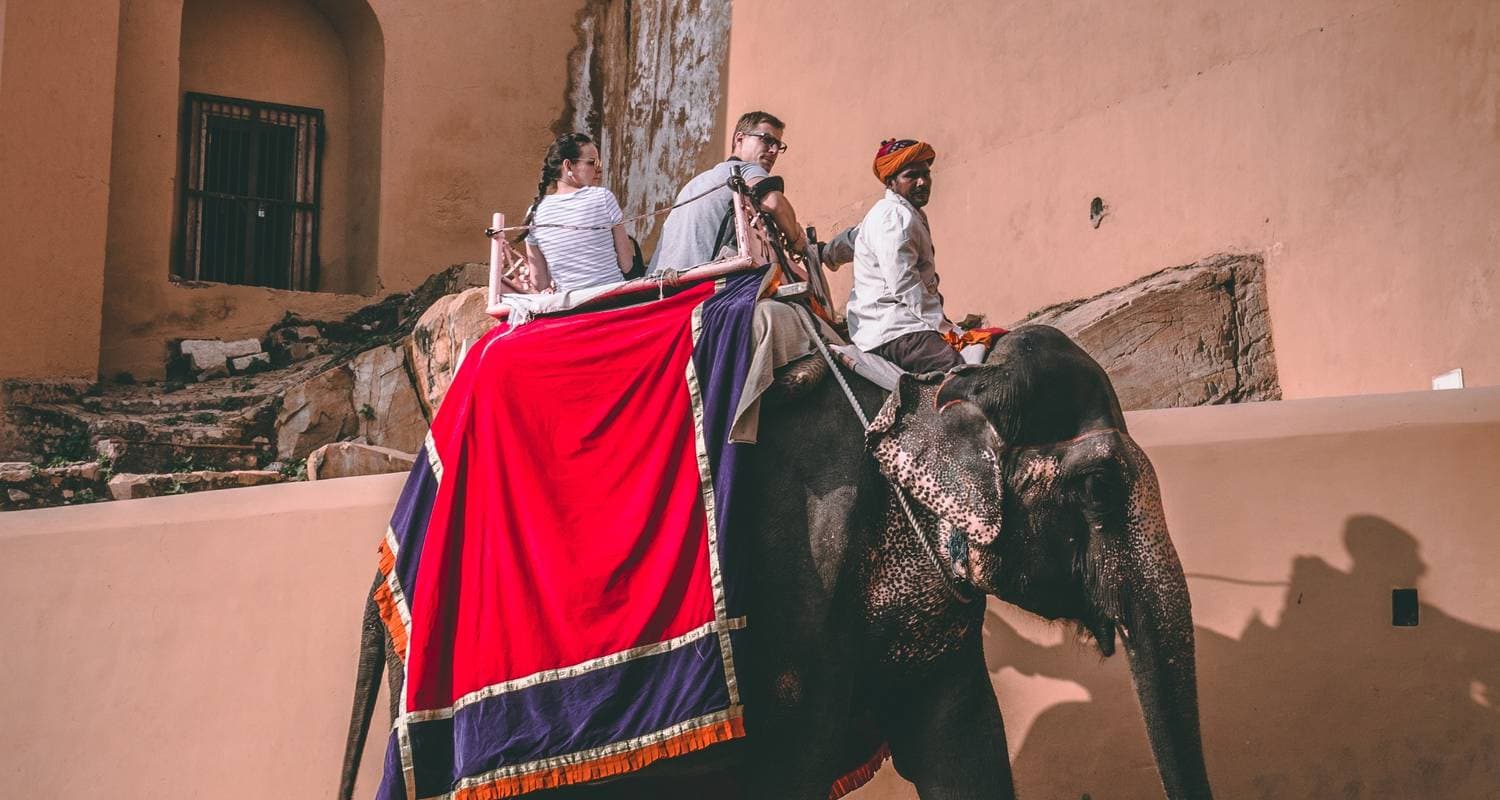 Rustic Rajasthan With Taj Mahal & Wildlife — photo 3