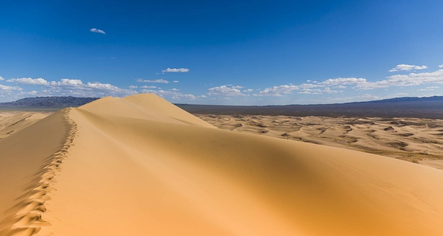 Gobi Tour