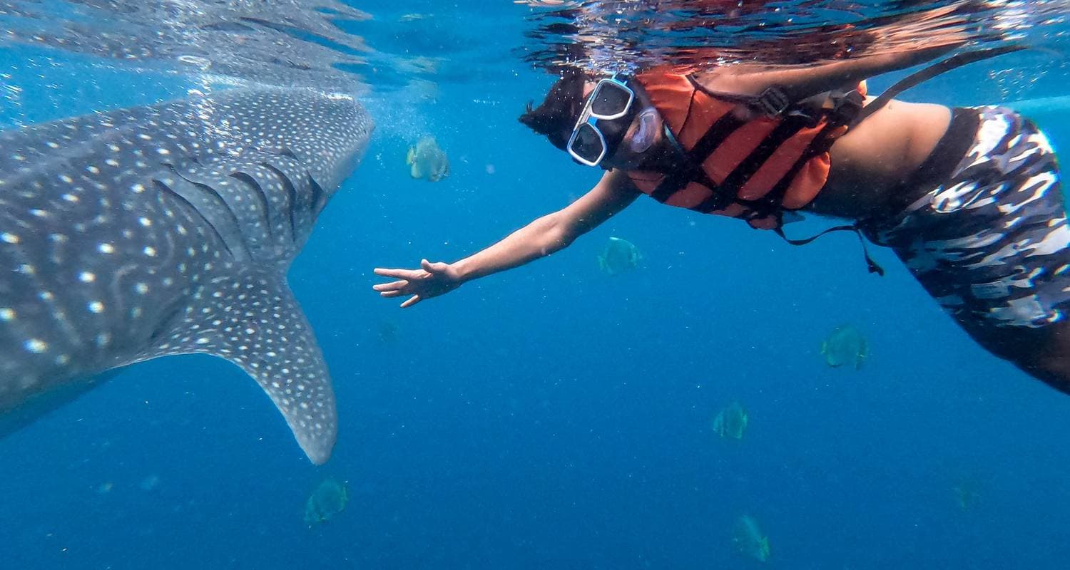 Philippines Adventure with El Nido to Coron Island expedition (Independent Tour)