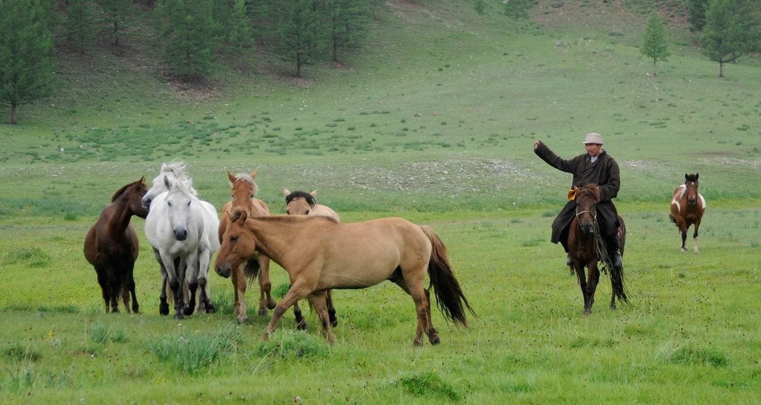 Naadam Festival