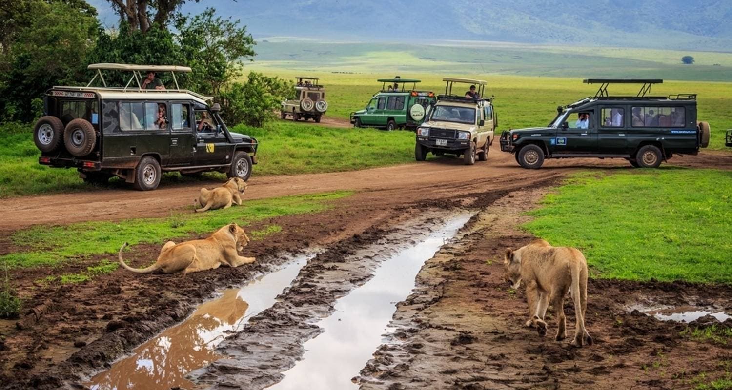 Tanzania Lodge Safari.