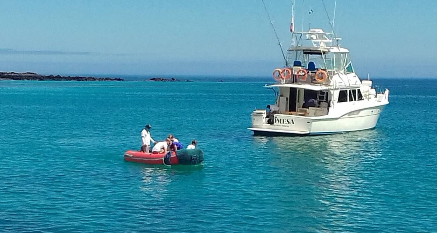 Natural Galapagos — photo 3