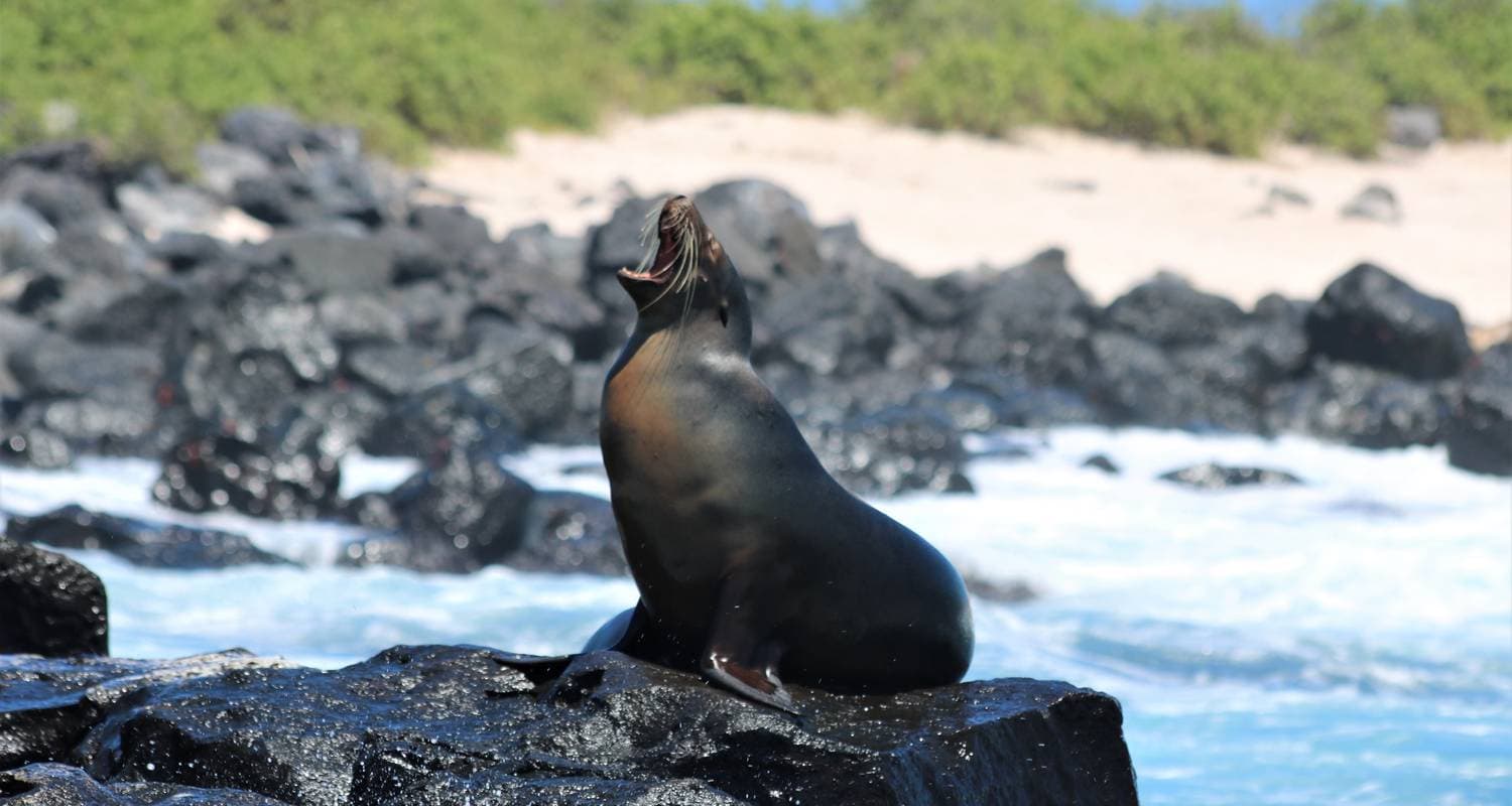 Natural Galapagos