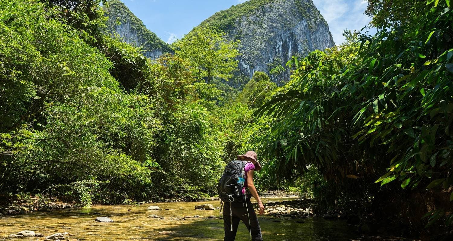 Wild Sarawak