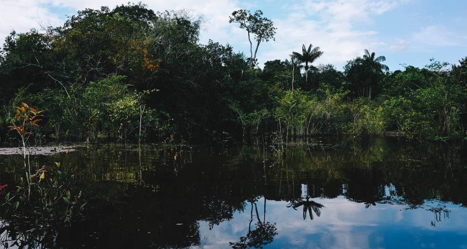 Manaus Amazon Jungle Adventure