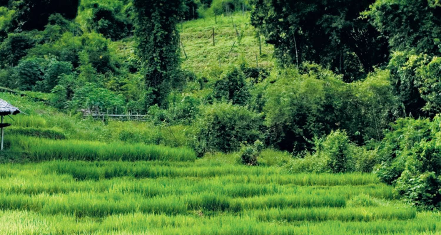 Beautiful Northern Thailand — photo 2