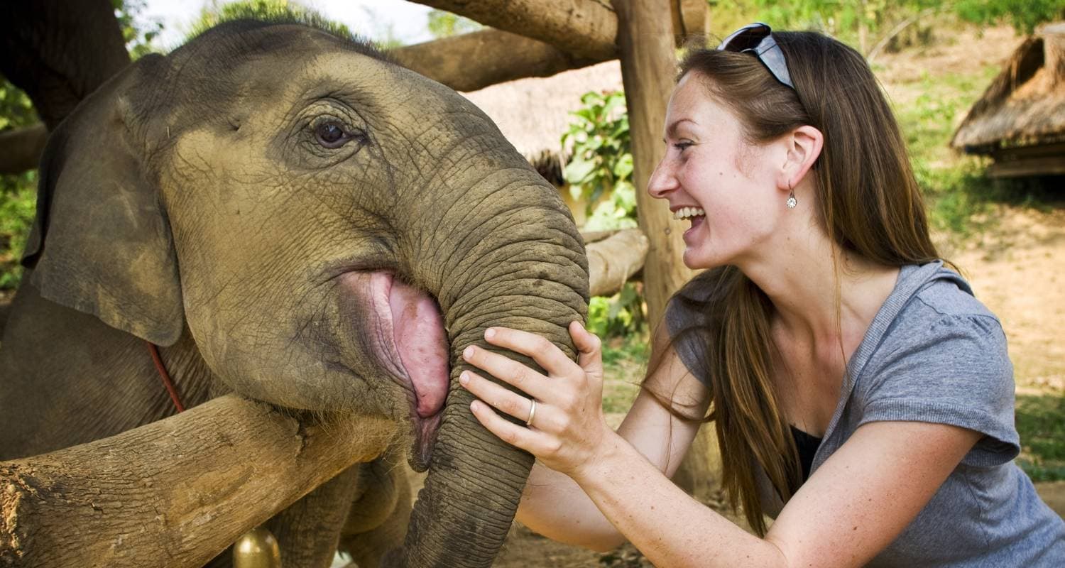 Elephants of Sri Lanka