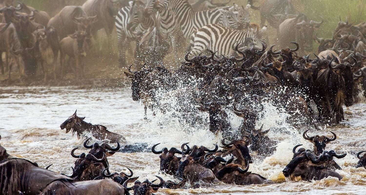Hell's Gate, Lake Naivasha, Lake Nakuru & Masai Mara Mid-Range Lodge Safari