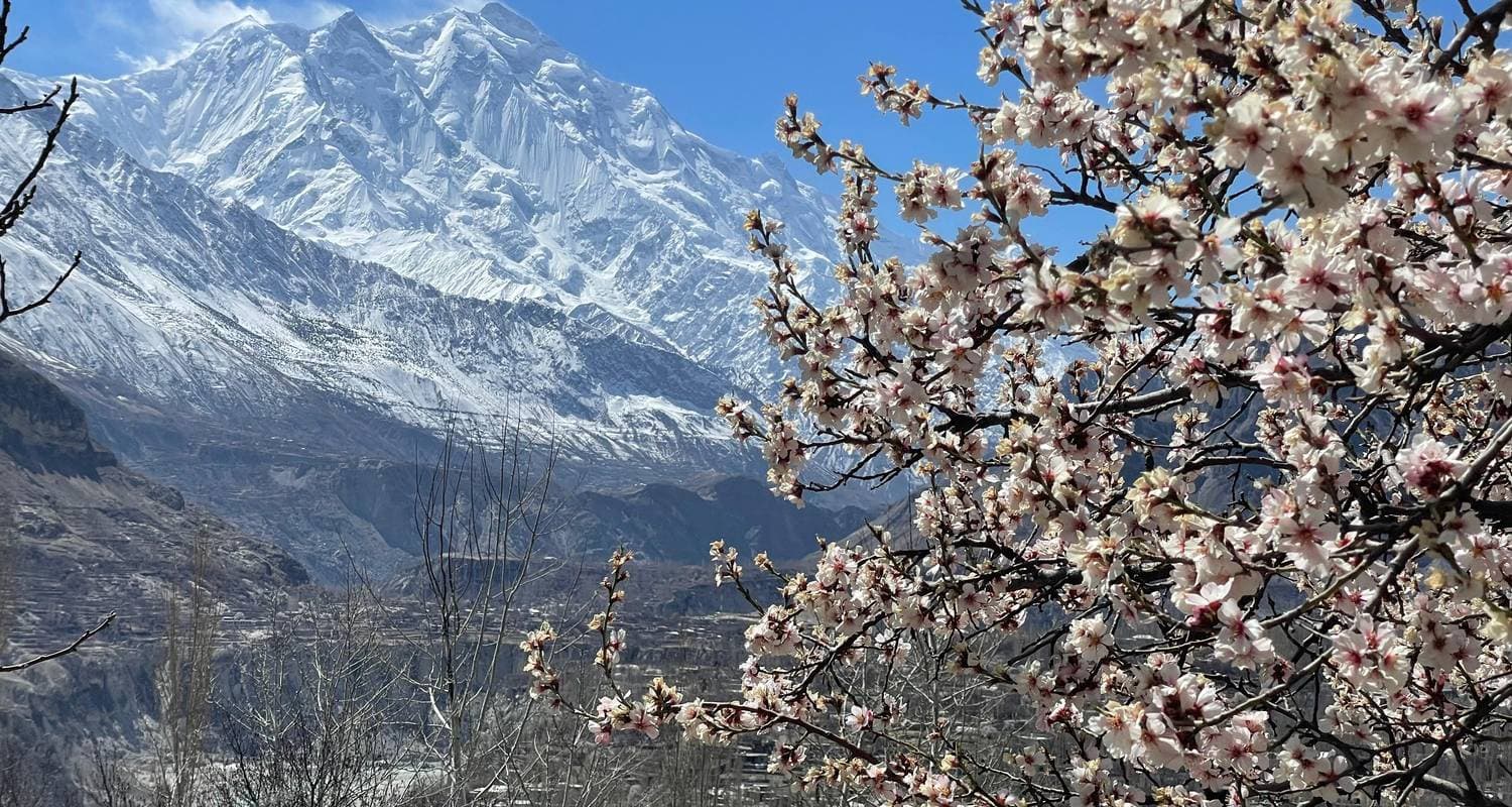 Blossom tour to Hunza Pakistan 2026 & 2027