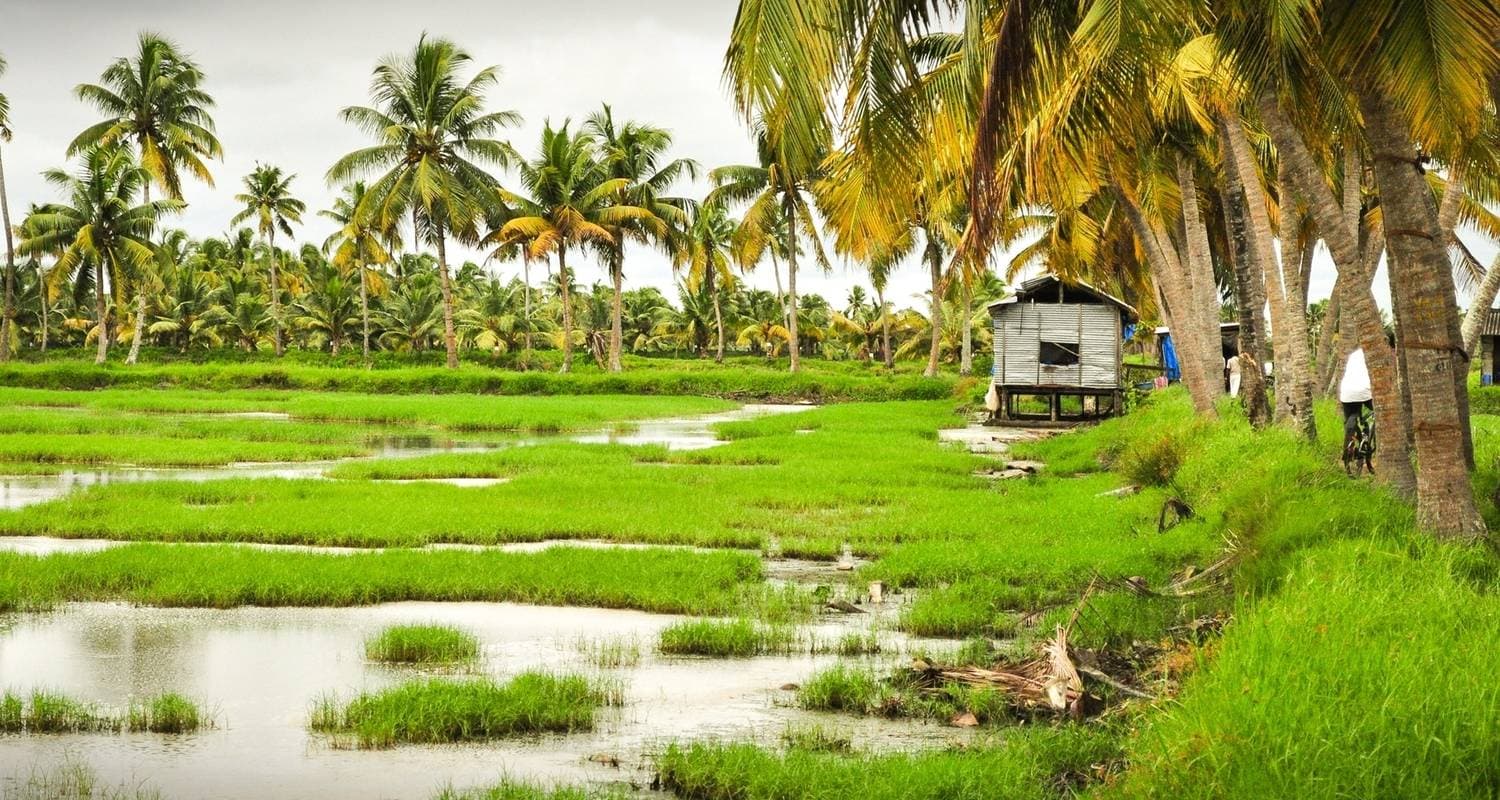 Amazing Kerala 7 Day Tour
